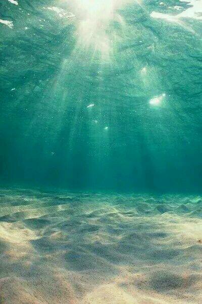 我都成仙了，你才刚灵气复苏？封面