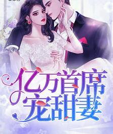 亿万首席宠甜妻封面