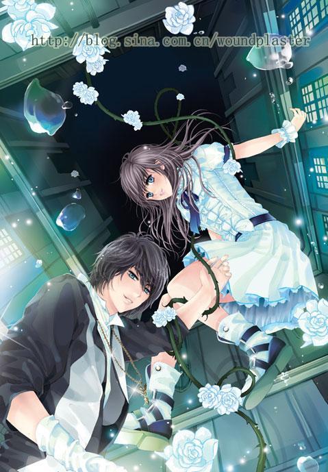 金峰关晓柔大康王朝小说免费阅读封面